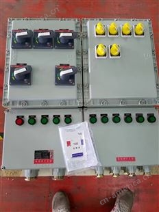 10回路防爆配电箱BXMD设计组装箱体价格