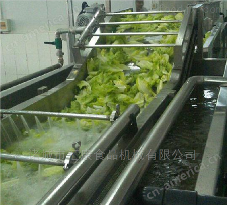 汇康机械专业生产翻浪蔬菜气泡清洗机设备