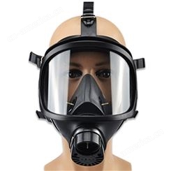 大视野防毒面具FMJ05防毒面具 全面型防护防毒面具